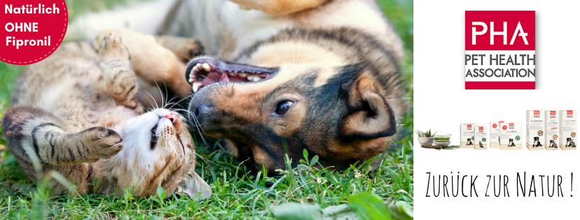 Haben Sie Einen Hund Oder Katze Zu Hause?🐶🐱