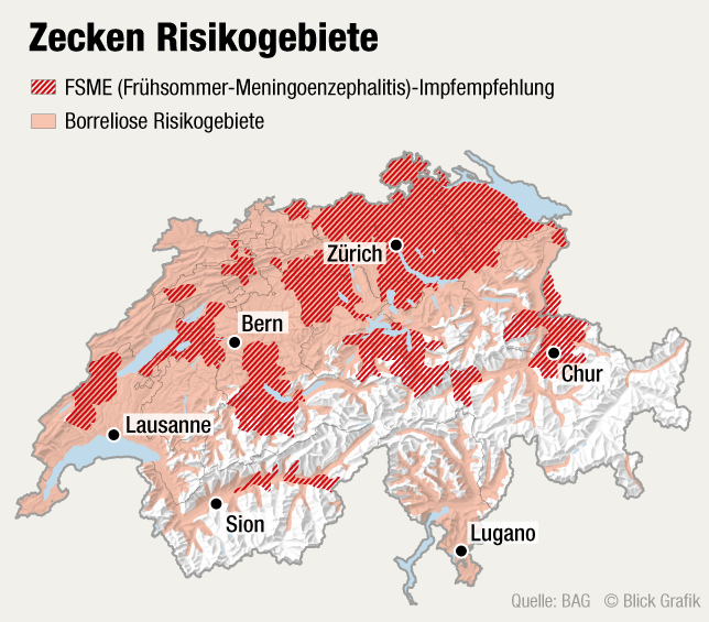 Wirds wärmer, kommen die Zecken – Central Apotheke Thun